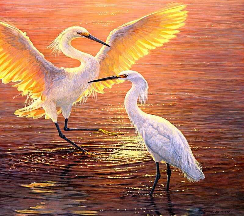 Two White Herons — Orange, Serene, Sunset