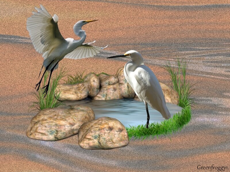 Two White Herons — Serene, Sunset