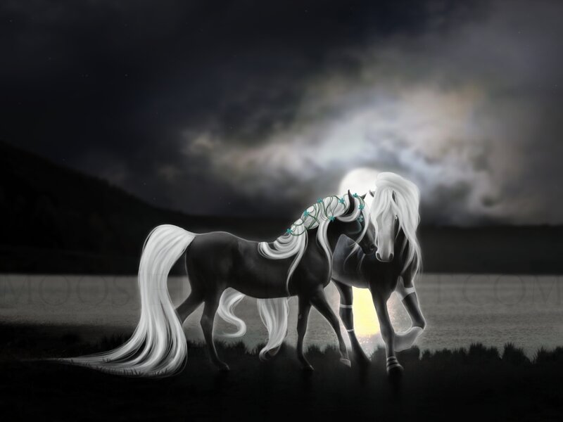 Two White Horses — Dramatic, Night