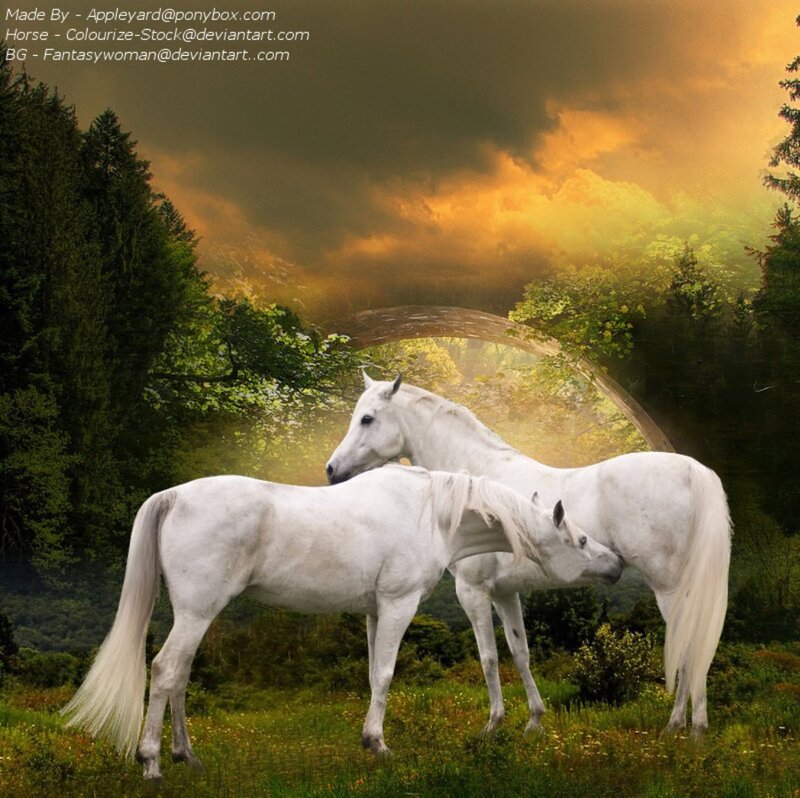 Two White Horses — Dramatic, Sunset