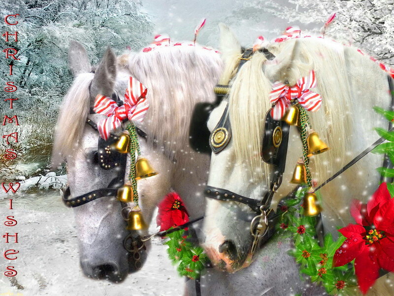 Two White Horses — Festive