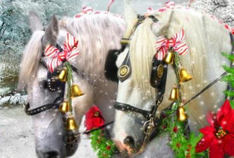 Two White Horses — Festive, Winter