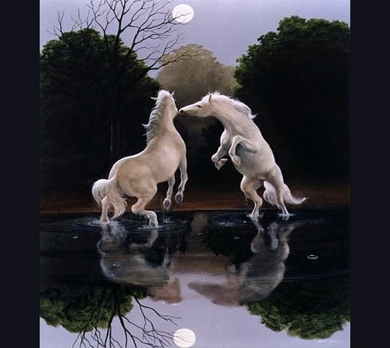 Two White Horses Fighting — Dramatic
