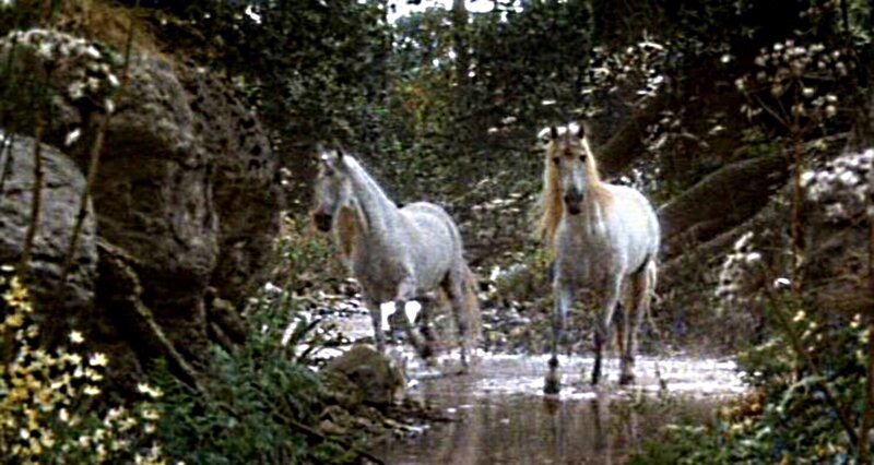 Two White Horses — Natural