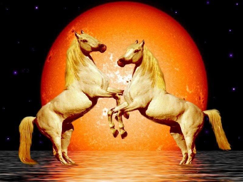 Two White Horses — Orange