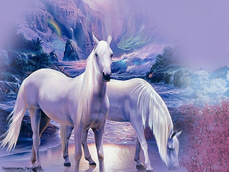 Two White Horses — Purple