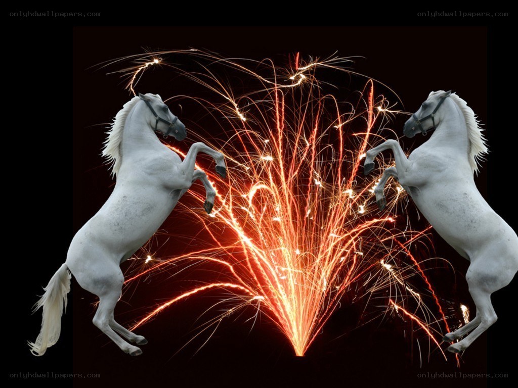 Two white horses rearing with fireworks