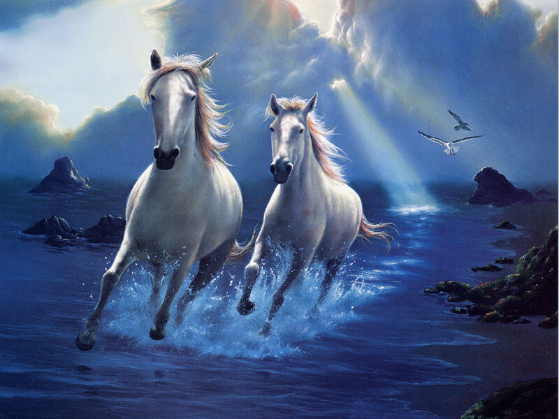 Two White Horses Running — Blue, Dramatic, Night