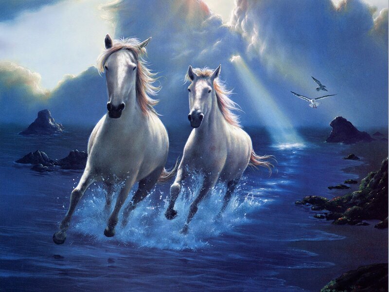 Two White Horses Running — Blue, Dramatic