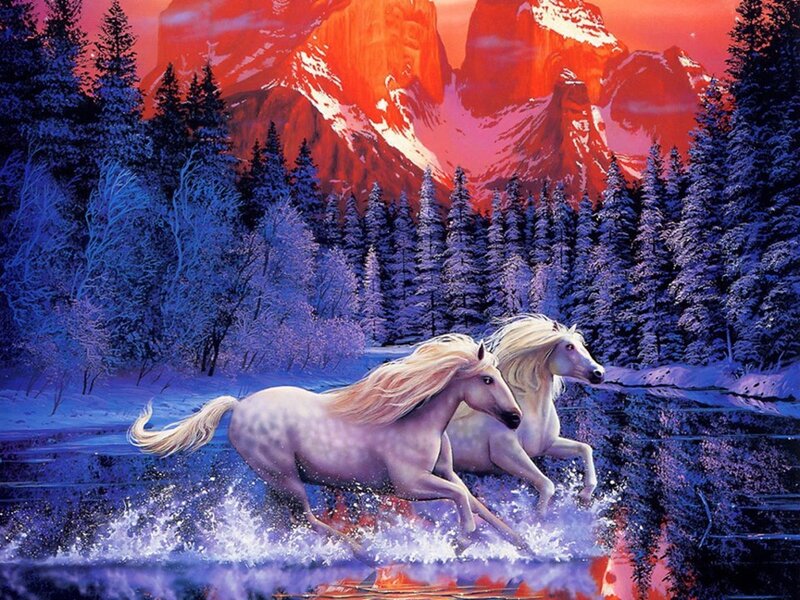 Two White Horses Running — Blue, Dramatic, Winter