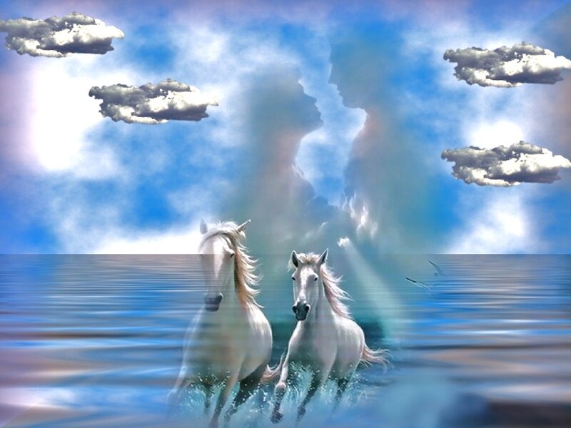 Two White Horses Running — Blue, Dreamy