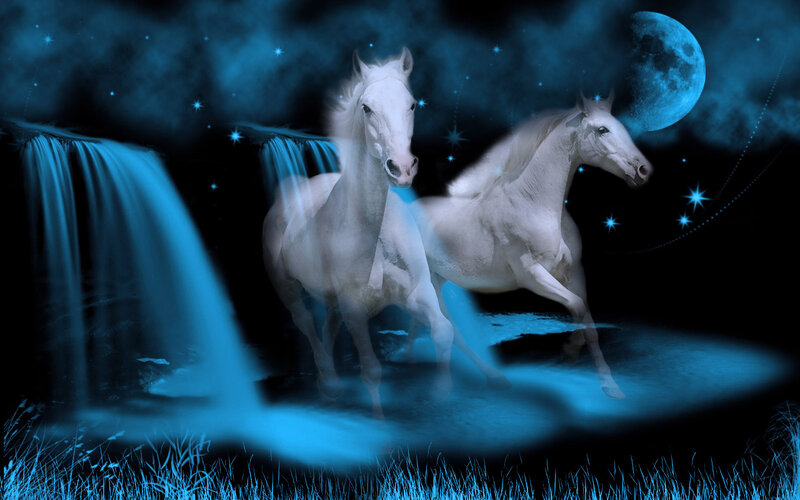 Two White Horses Running — Blue, Mystical