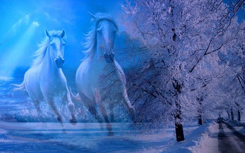 Two White Horses Running — Blue