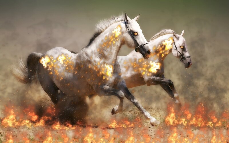 Two White Horses Running — Dramatic, Digital Art