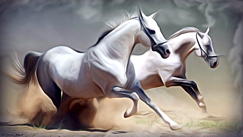 Two White Horses Running — Dynamic, Digital Art, Dust