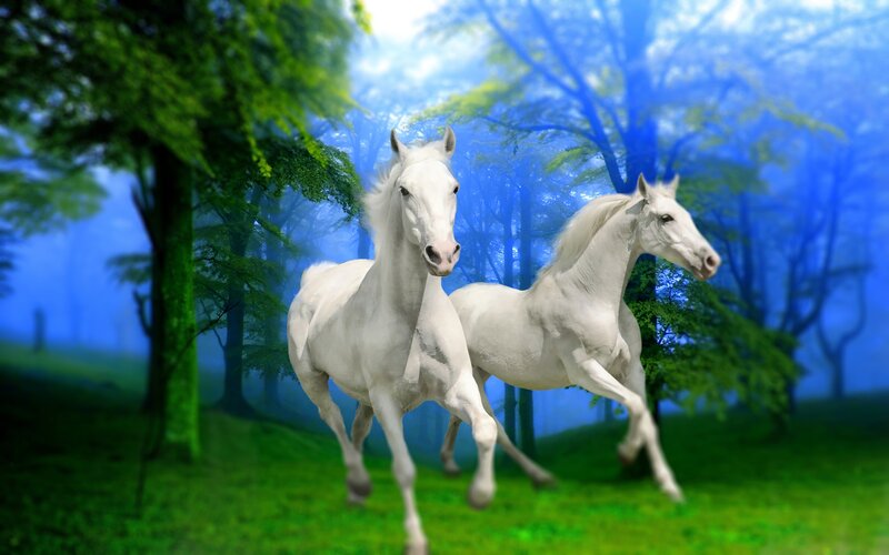 Two White Horses Running — Green, Serene