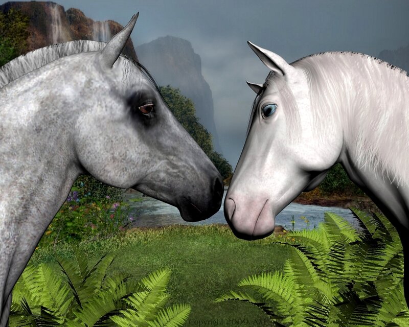 Two White Horses — Serene, Digital Art