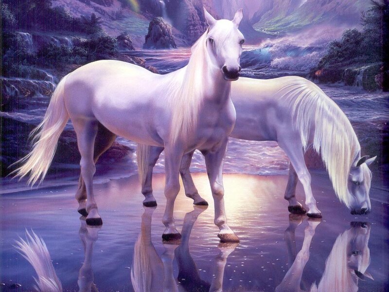 Two White Horses — Serene, Night