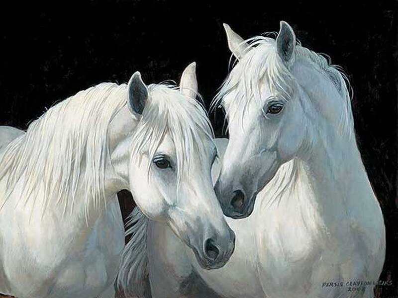 Two White Horses — Serene, Painting