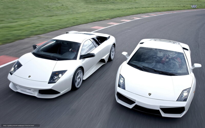 Two white Lamborghinis on a racetrack