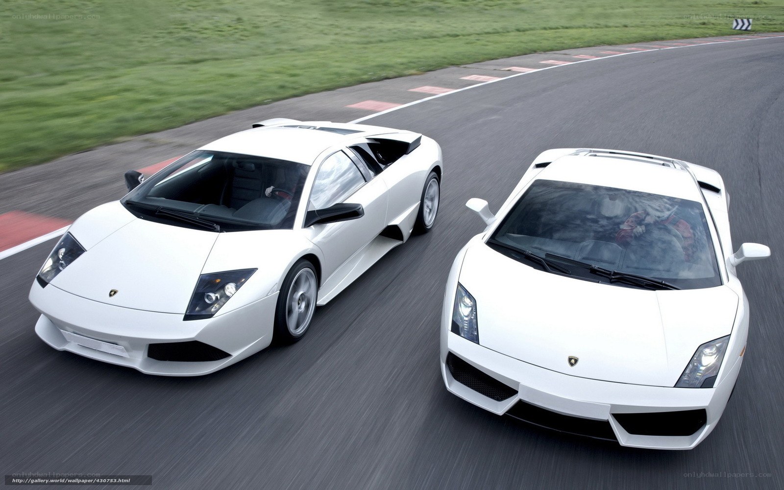 Two white Lamborghinis on a racetrack