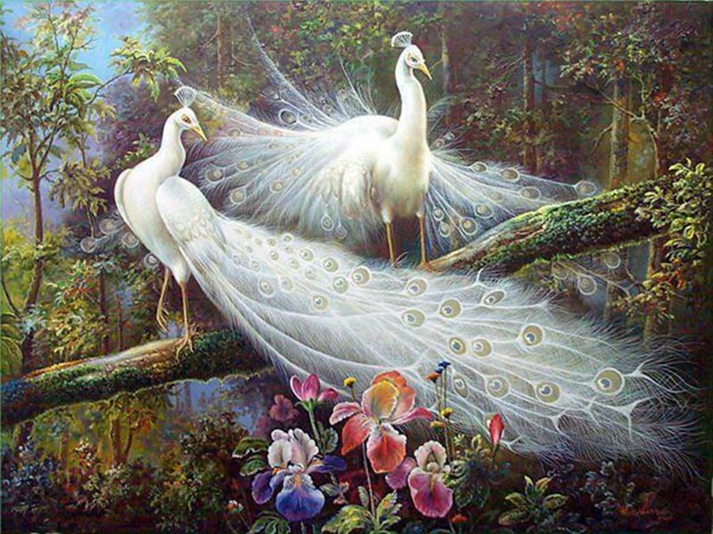 Two White Peacocks