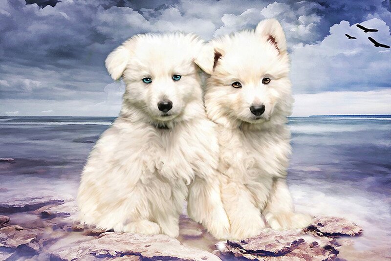 Two White Puppies — Dramatic