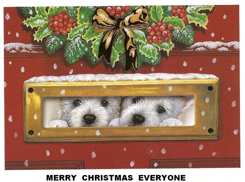 Two White Puppies — Red, Festive