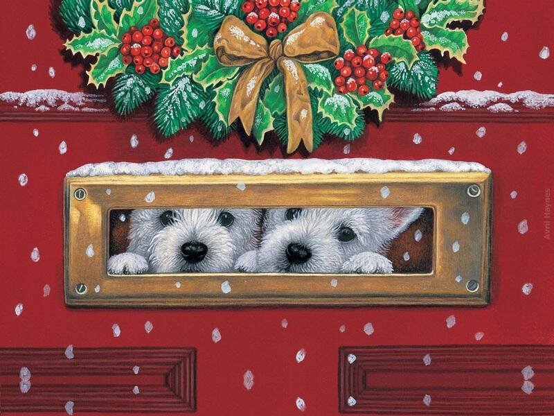Two White Puppies — Red