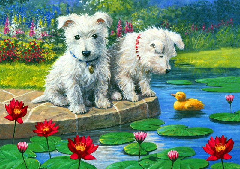 Two White Puppies — Serene, Afternoon