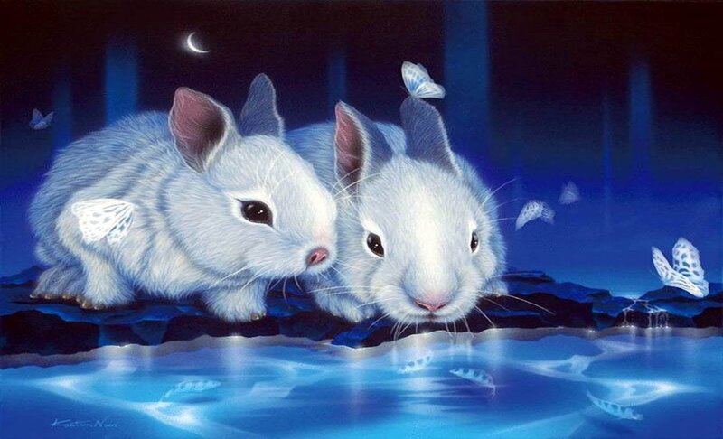 Two White Rabbits — Blue, Serene, Night