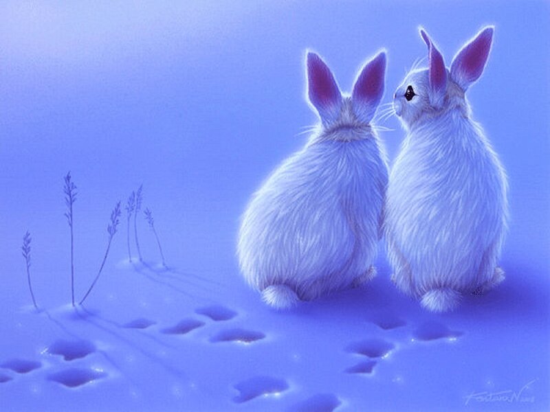 Two White Rabbits — Blue, Serene