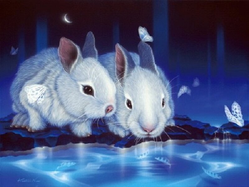 Two White Rabbits — Blue