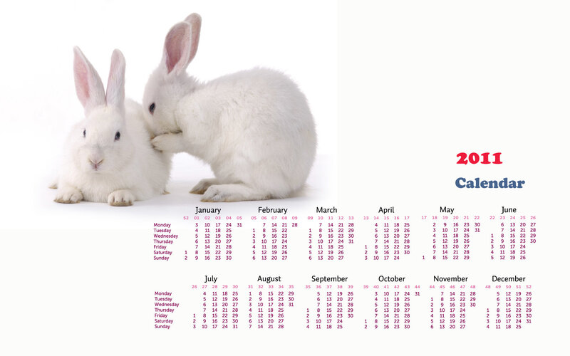 Two White Rabbits — Calm