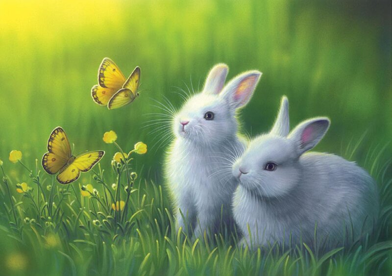 Two White Rabbits — Green