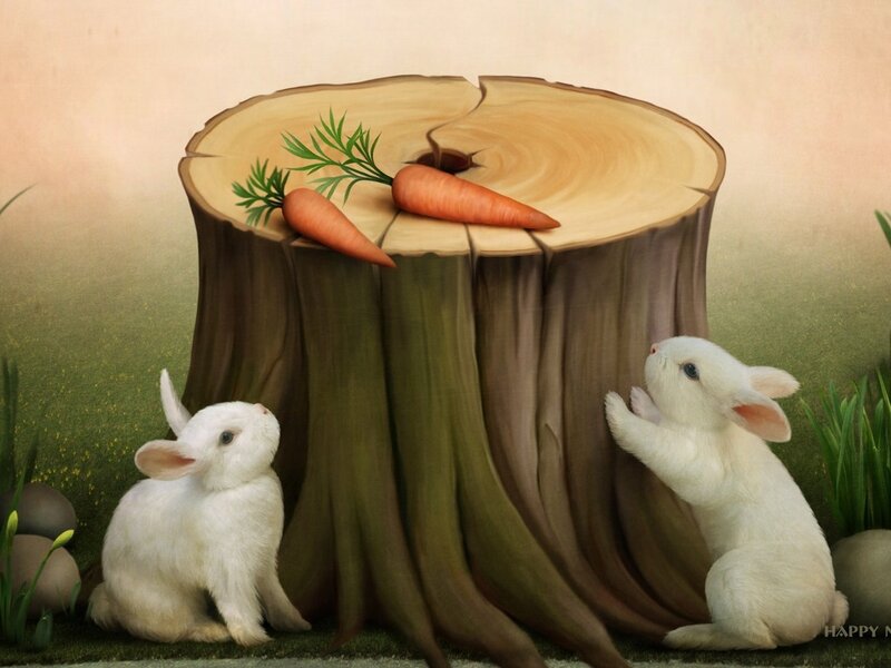 Two White Rabbits — Peaceful