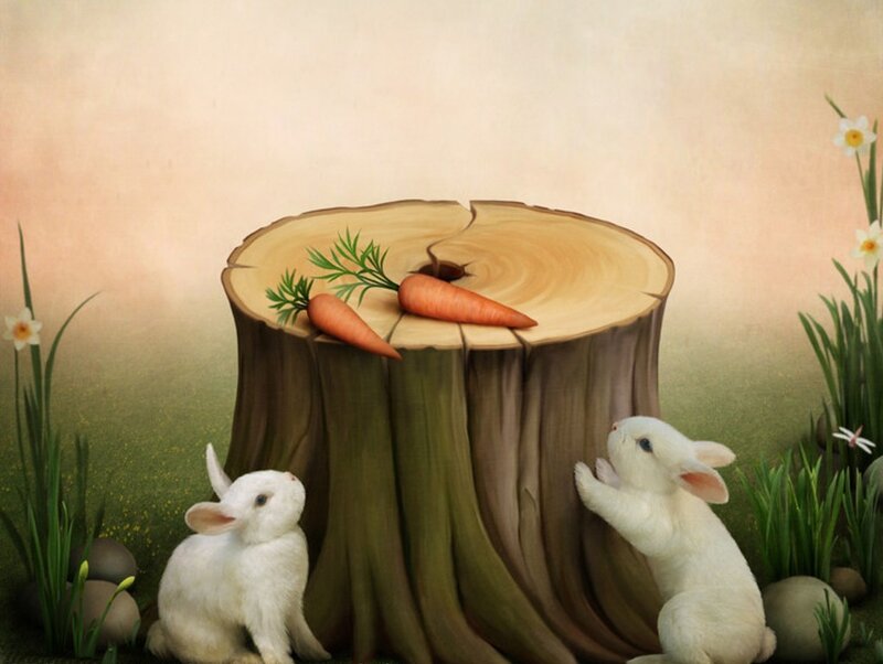 Two White Rabbits — Serene