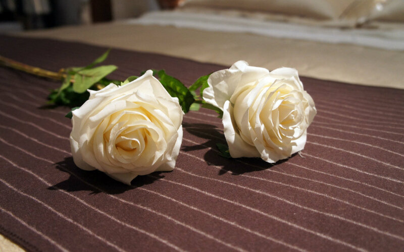 Two White Roses — Serene, Afternoon, Photograph