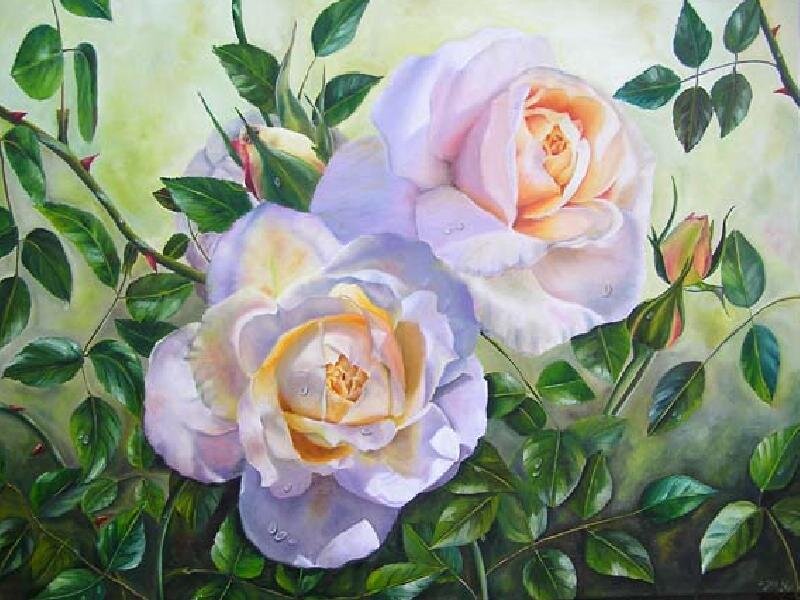 Two white roses with green leaves