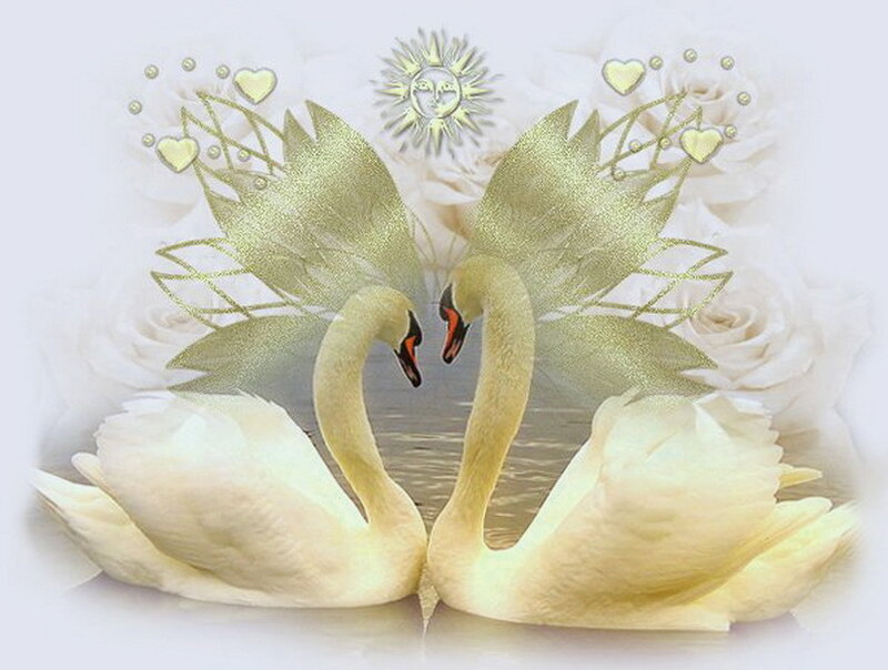 Two White Swans — Romantic