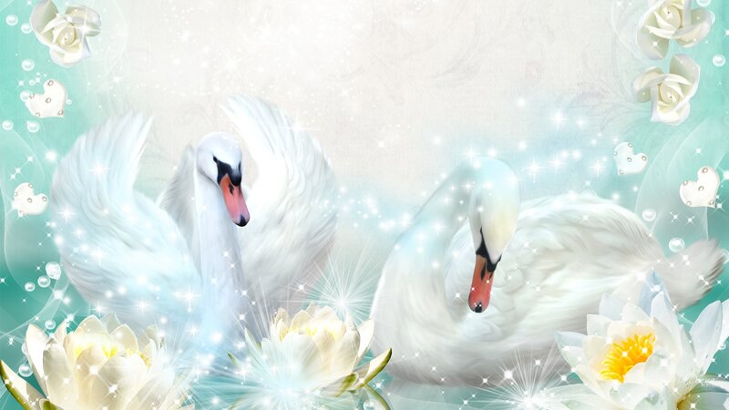 Two White Swans — Serene, Digital Art, White Roses