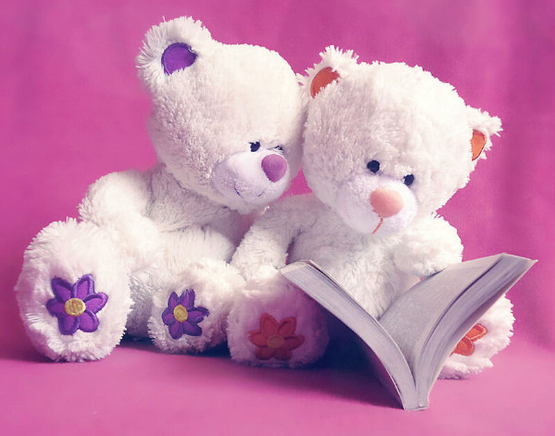 Two White Teddy Bears — Pink