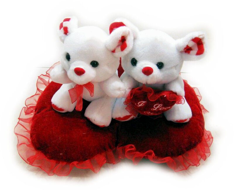 Two White Teddy Bears