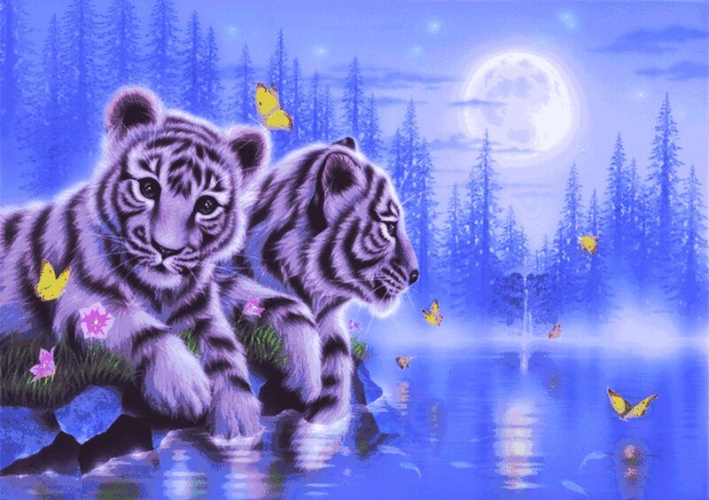 Two White Tiger Cubs — Blue, Serene, Night