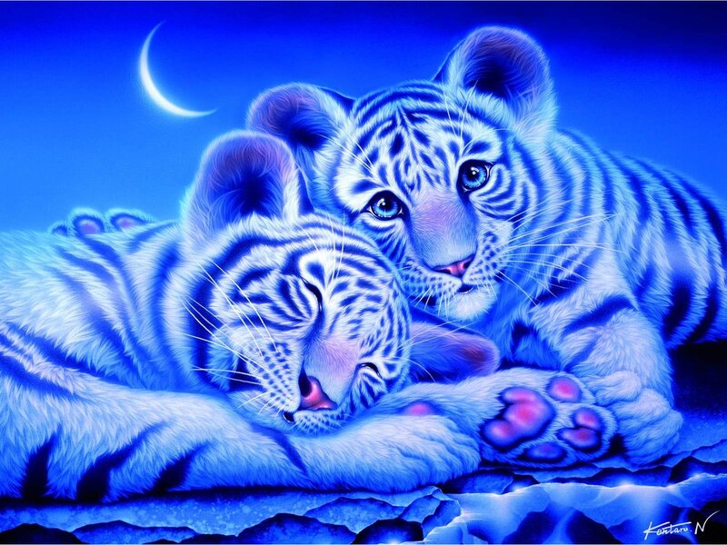 Two White Tiger Cubs — Blue, Serene