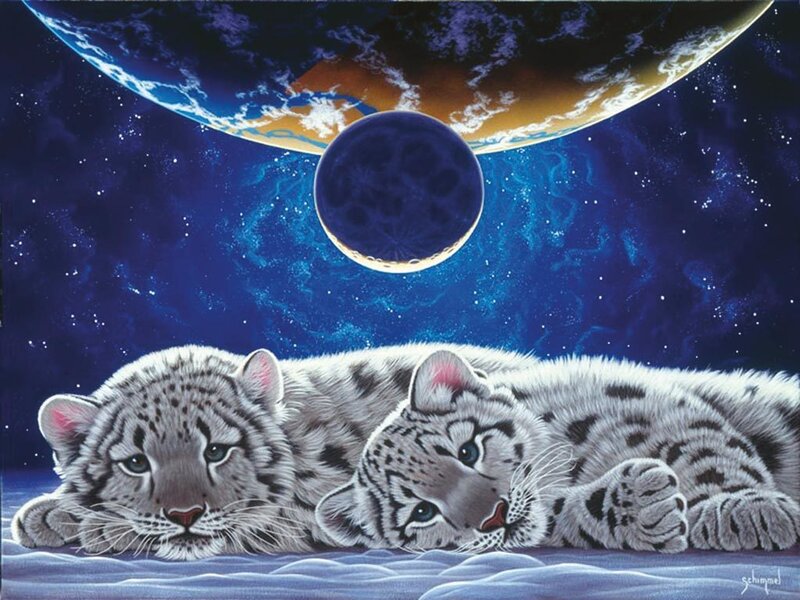 Two White Tiger Cubs — Blue