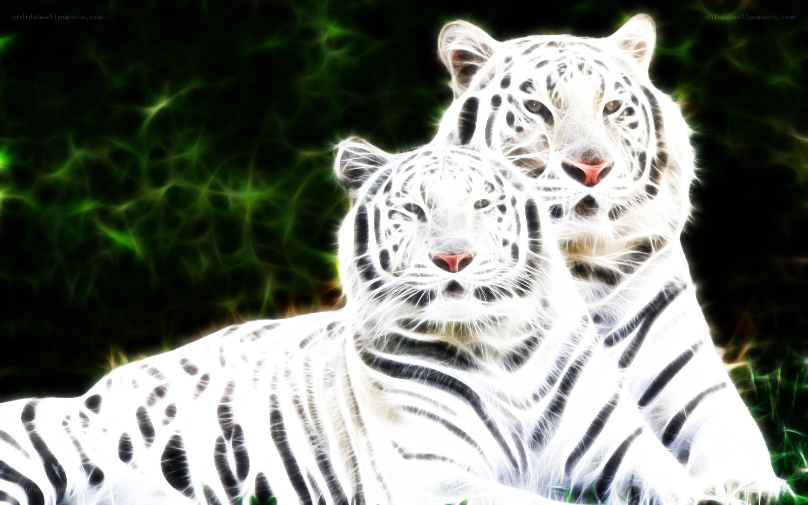 Two white tigers in glowing forest