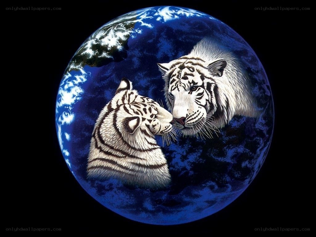 Two white tigers on Earth