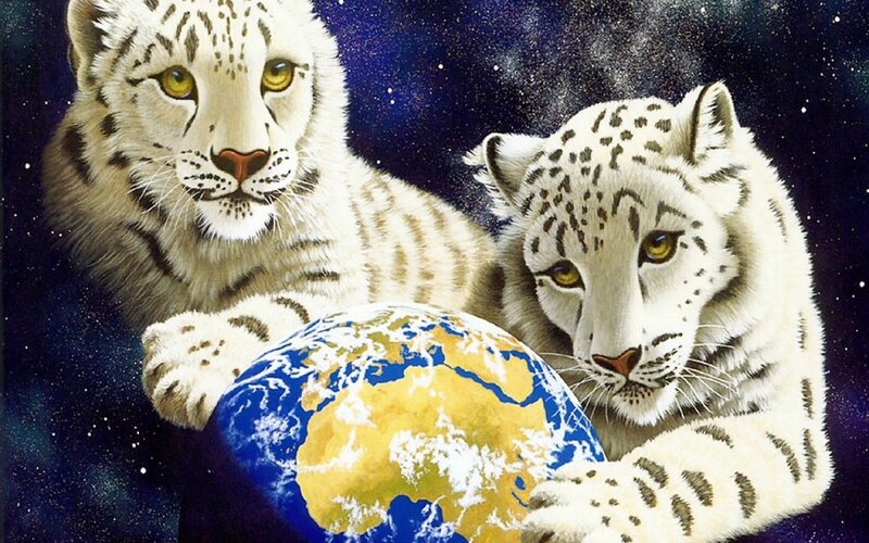 Two White Tigers — Serene, Digital Art