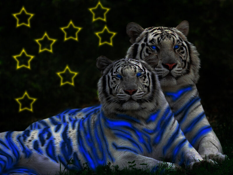 Two white tigers with glowing blue stripes